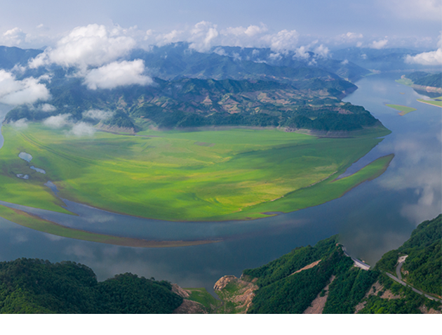 太极中国